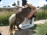 Middle-aged guy that works on a farm enjoying an anal screwing from a horse